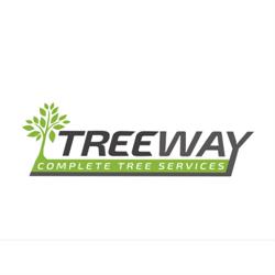 Tree Way Is The Right Way