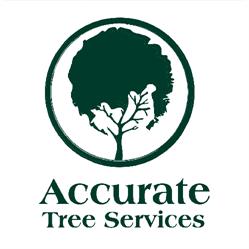 A Accurate Tree Services