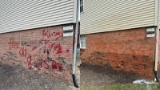 Graffiti Removal Service