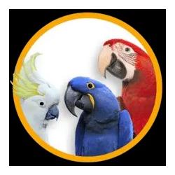 Bird Shop Australia
