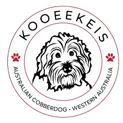 KooeeKeis Australian Cobberdogs