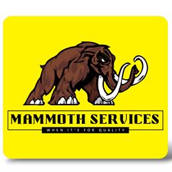 Mammoth Services