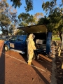Bees Removal Perth