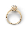 Eternal Radiance Hidden Halo Ring