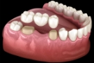 Dentist