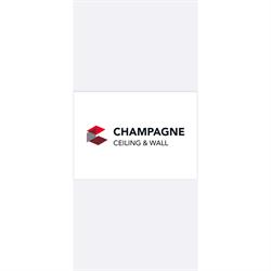 Champagne Ceilings