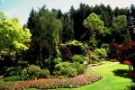 Landscaping Rockhampton Elite