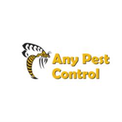 Any Pest Control