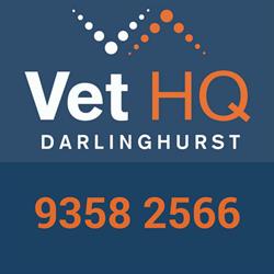 Vet HQ Darlinghurst