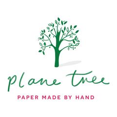 Plane Tree Studio