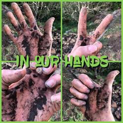 In Our Hands