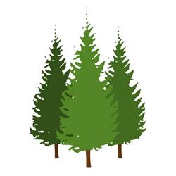 Minorba Pine Products
