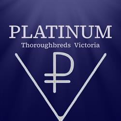 Platinum Thoroughbreds Victoria