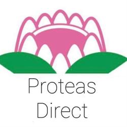 Proteas Direct Florist