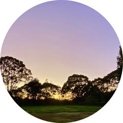 Barra Brui Oval