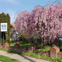 Churches Garden Centre