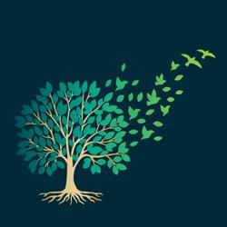 Evolve Family Lawyers