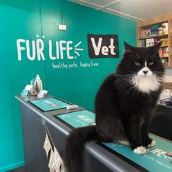 Fraser Coast Veterinary Services