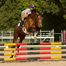 International Boutique Riding School