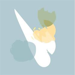 Life Therapies Victoria