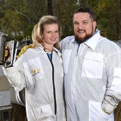 Logan & Surrounds Bee Rescue