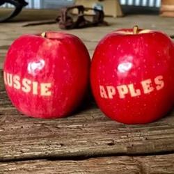 Mahnew Orchard