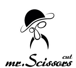 Mr. Scissors Cut Hair and Beauty Salon