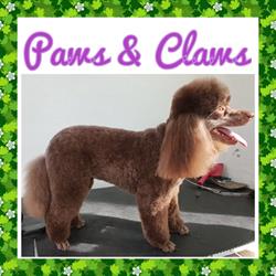 Paws & Claws Grooming at Gowrie