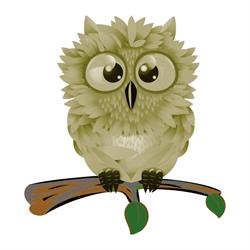 Recycowlble Pre-Loved Furniture & Curios