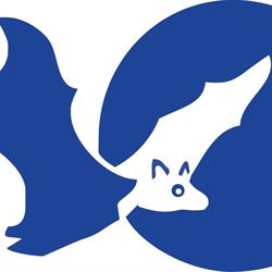 Tolga Bat Hospital - bookings essential