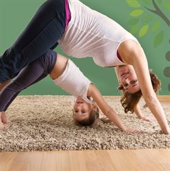 True potential chiropractic healesville