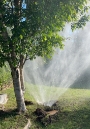 Burst water pipe