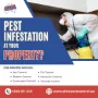 Pest-Control-Service