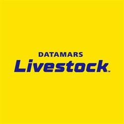 Datamars Livestock Australia