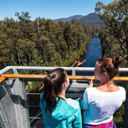 Tahune Adventures Tasmania