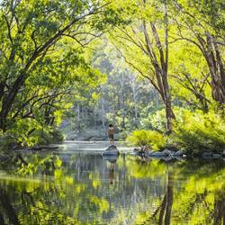 Marrinup Falls Walk Trail
