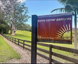 Sunny Corner Pastures