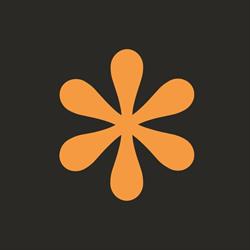 Vivid Financial Pty Ltd