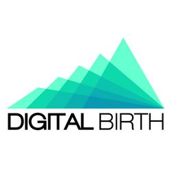 Digital Birth - Fabrication Drafting Services