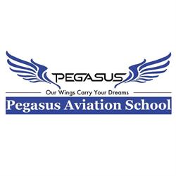 Pegasus Aviation School