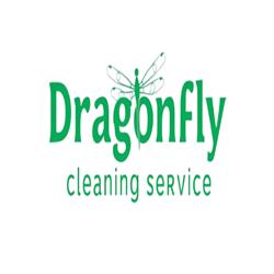 Dragonfly Cleaning
