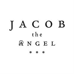 Jacob the Angel