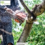 Tree removal Melbourne