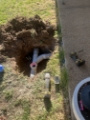 Sewer Repair in Wagga