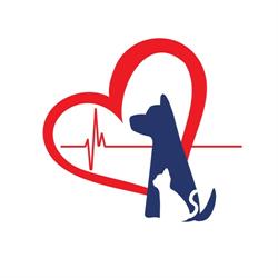 Bald Hills Veterinary Surgery