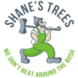 Shane's Trees - Brisbane