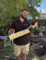 Aptec Plumbing - Tree Root Removal