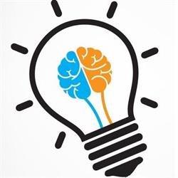 Optimal Web Design | Local SEO & Google Maps Expert