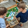 Boys with bugs