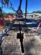Non-destructive digging in Brisbane